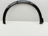 Moldura de la aleta delantera