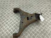 Front lower control arm/wishbone