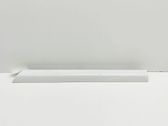 Rear door trim (molding)