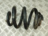 Muelle espiral trasero