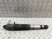 Stoßdämpfer hinten