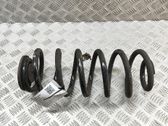 Muelle espiral trasero