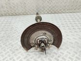 Rear wheel hub