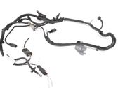 Engine installation wiring loom