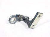 Rear door lower hinge