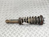Rear shock absorber/damper