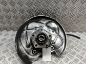 Rear wheel hub
