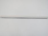 Rear door glass trim molding
