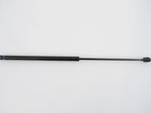 Front bonnet/hood damper/strut