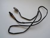 Sonde lambda