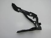 Tailgate/trunk/boot hinge