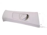 (B) pillar trim (top)