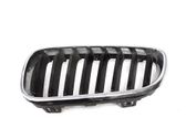 Front bumper upper radiator grill