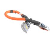 Other wiring loom
