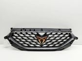 Atrapa chłodnicy / Grill