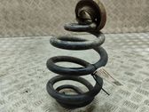 Muelle espiral trasero