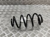 Rear coil spring
