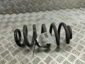 Muelle espiral trasero