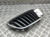 Front grill