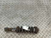 Stoßdämpfer vorne