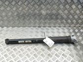 Stoßdämpfer hinten