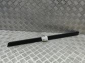 Front door glass trim molding
