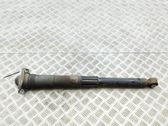 Stoßdämpfer hinten