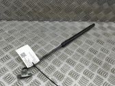 Front bonnet/hood damper/strut