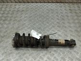 Stoßdämpfer hinten