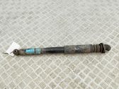 Rear shock absorber/damper