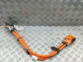 Other wiring loom
