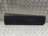 Rear door trim (molding)