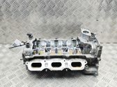 Culata del motor