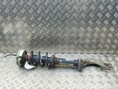 Front shock absorber/damper