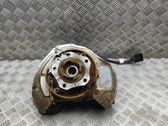 Rear wheel hub