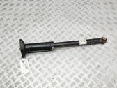 Rear driveshaft