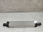 Intercooler radiator