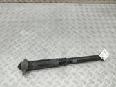 Stoßdämpfer hinten