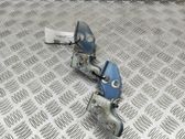 Front door hinges set