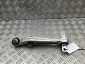 Front lower control arm/wishbone