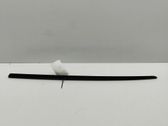 Windshield trim