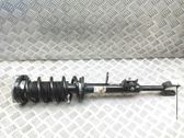 Front shock absorber/damper
