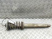 Front shock absorber/damper