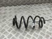 Rear coil spring