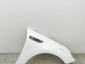 Fender