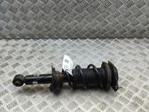 Rear shock absorber/damper