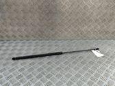 Front bonnet/hood damper/strut