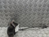 Bremssattel hinten