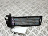 Radiador de calefacción eléctrico de habitáculo