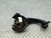 Rear wheel hub